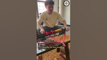 Self made hand cranked corn thresher for corn threshing