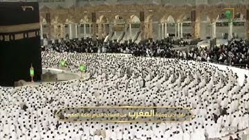سوره الزلزله والماعون لـ فضيله الشيخ #فيصل_غزاوي من صلاه المغرب ٢ شوال ١٤٤٣هـ
