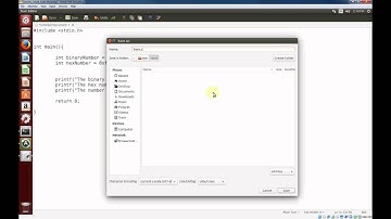 Programming C in Linux - Assigning hex and binary values to variables