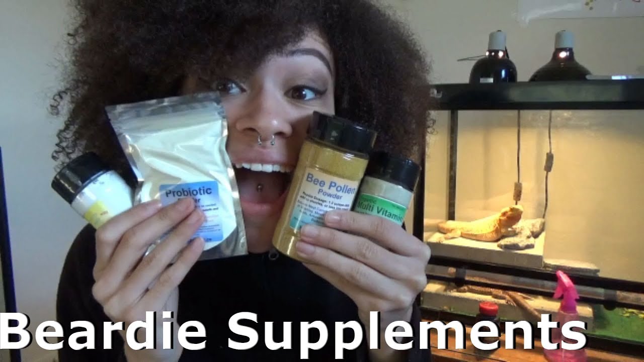 lizard skin grips Needed Bearded Dragon Supplements