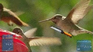Best GIFs of December 2015