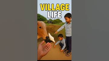 Village Life day - 2 || 🐃🔥♥️ #ai #vlog #youtubeshorts #trending #shorts #vlogger