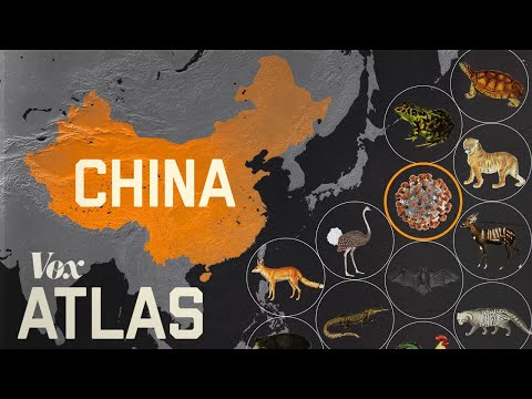 Why new diseases keep appearing in China