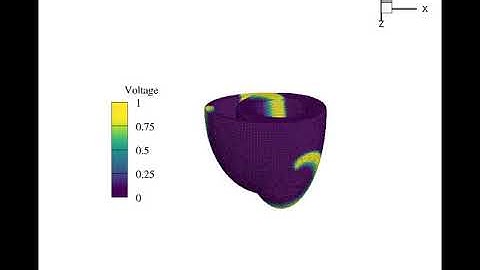 SPH simulation of spiral wave in heart ventricles