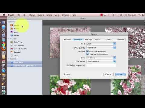 How to export photos from iPhoto (handy for burning to CD)