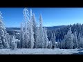 COLORADO VLOG: our family ski trip & snowboarding for the first time