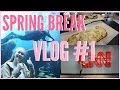 Spring Break Vlog Pt 1 | Emory University &amp; Georgia Aquarium