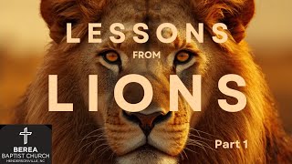 “Lessons from Lions (1)” April 15, 2026, Wednesday Beasts of the Bible Series Part 1