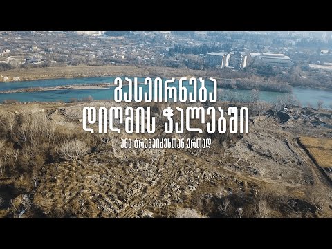 გასეირნება დიღმის ჭალებში: ანა ტრაპაიძესთან ერთად
