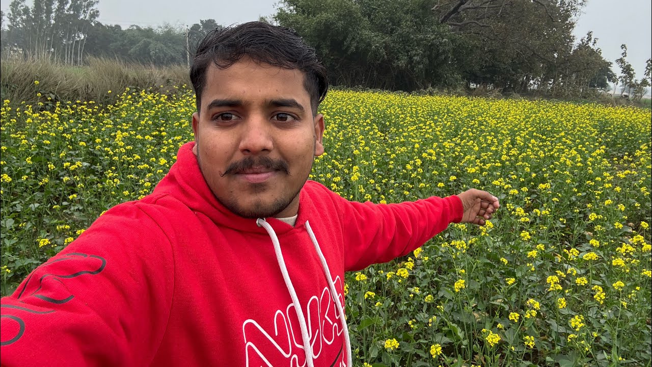Finally Sarso Ke Khet में 🤣