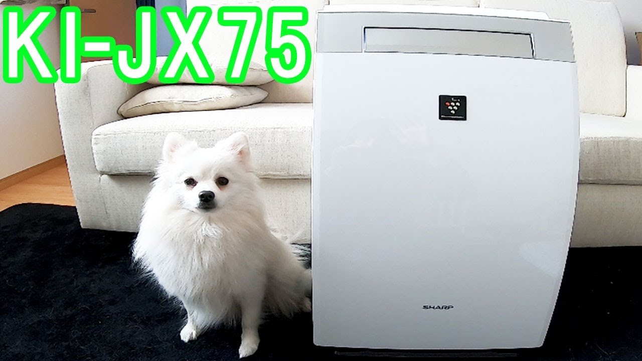 SHARP KI-JX75-W】わが家に空気清浄機がやってきた【白ポメラニアン