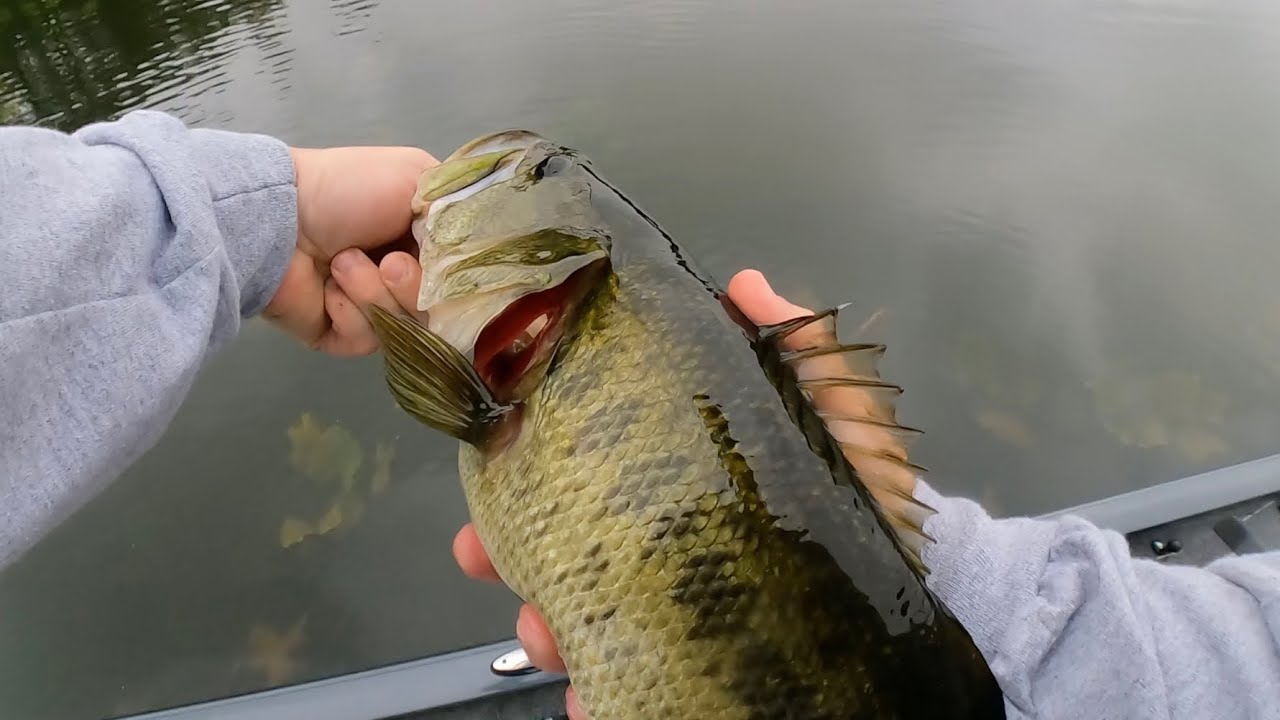 Late Fall Bass Fishing