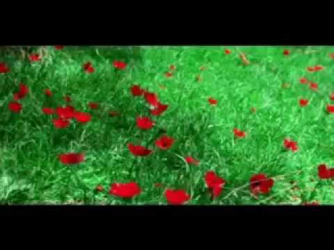 كارول سماحة وحشانى بلادي