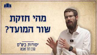 מהי חזקת שור המועד? | הרב דוד זאגא | יסודות ועיונים בש"ס