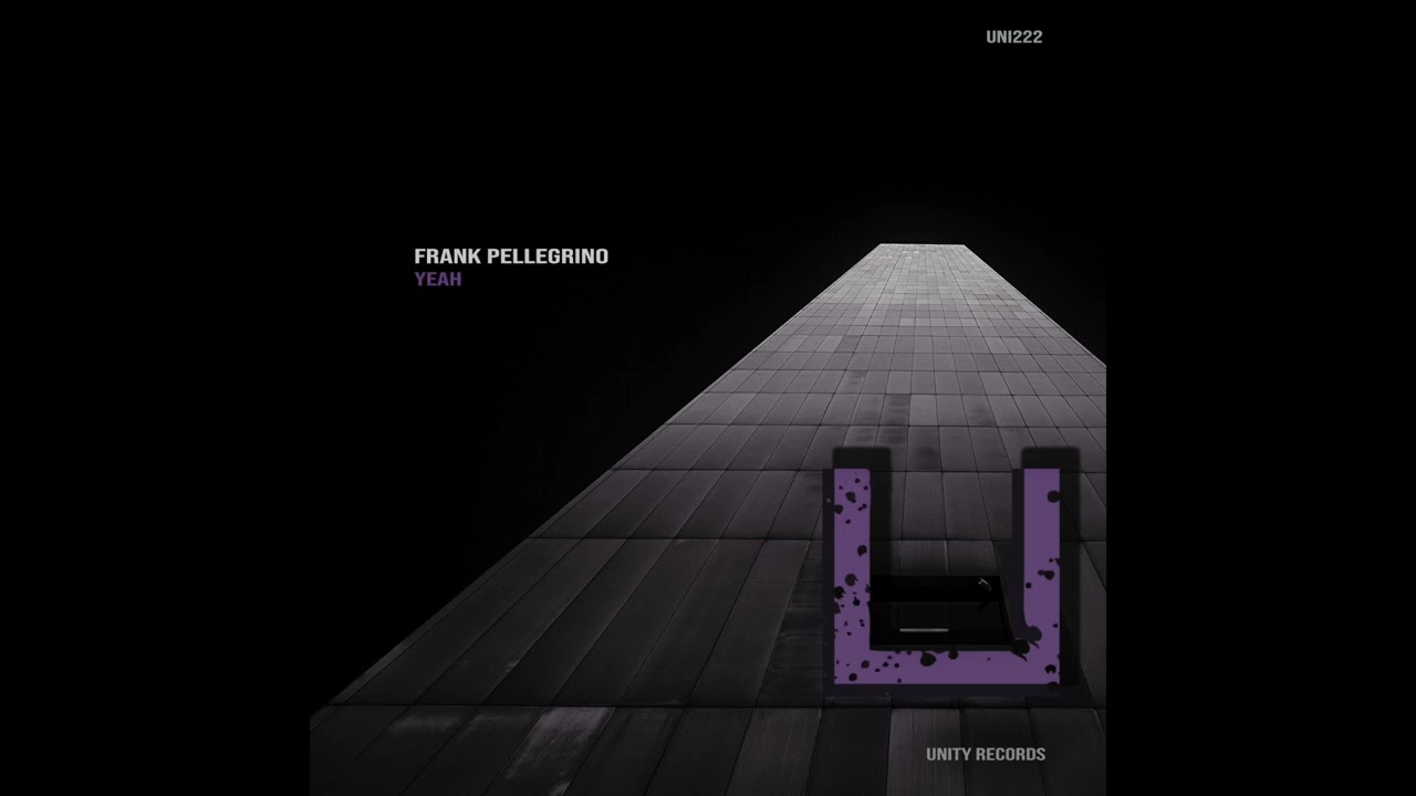 Frank pellegrino - Muzik Feelz (Original Mix) [UNITY RECORDS}