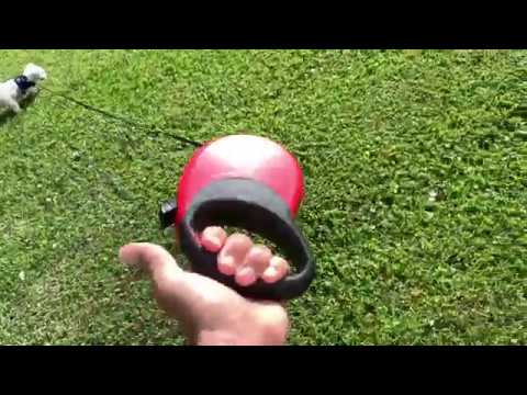 How to get exercise walking your dog with Flexi Explore Retractable leash