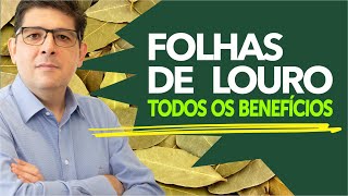 Folhas de Louro para que serve e seus benefícios | Dr Juliano Teles