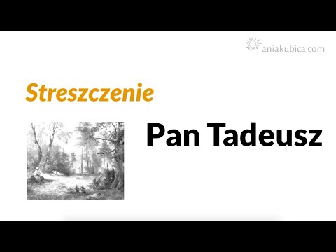 Pan Tadeusz -
