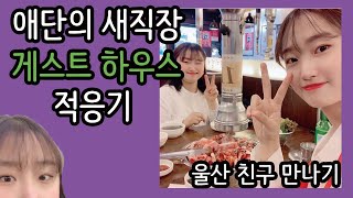 대구 공감게스트 하우스 적응기 #애단#대구#게스트 하우스