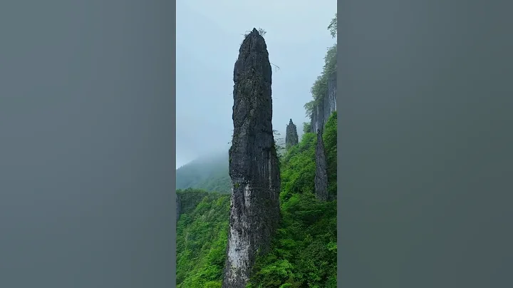 The Triassic limestone column in Hubei Province has an overall diameter of about 10 meters #travel - DayDayNews