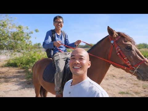 HÔM NAY TRANG TRẠI CHUẨN BỊ CÓ THÊM 1 THÀNH VIÊN MỚI 🐎 | CUỘC SỐNG NÔNG DÂN - youtube