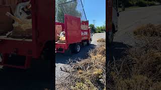 Items we take: Yardwaste #cleanupservice #junkkingutah #cleanup #yardwork #yatdwaste