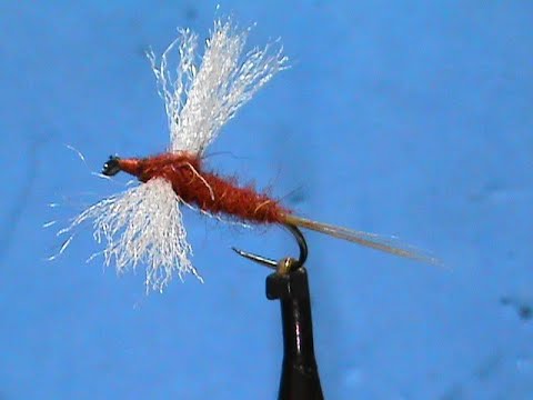 Beginner Fly Tying a Rusty Spinner with Jim Misiura - YouTube