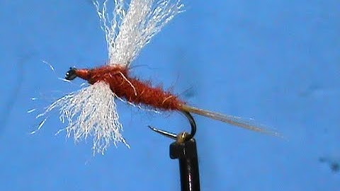 Beginner Fly Tying a Rusty Spinner with Jim Misiura