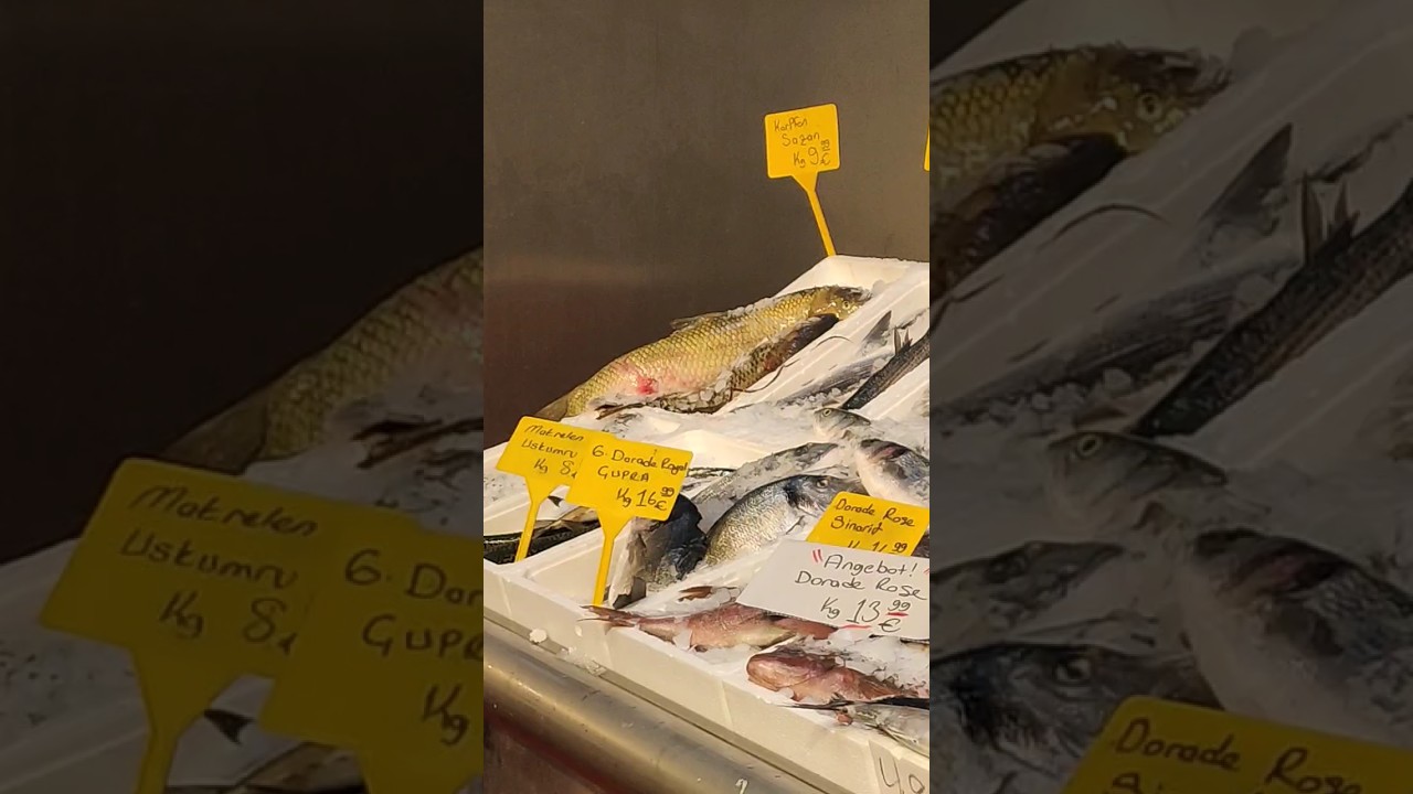 Fish market in Galluswate Frankfurt germany frankfurt shortvideo 