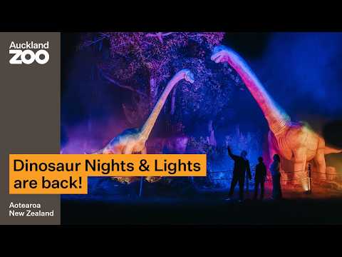 Dinosaur Nights & Lights returns at Auckland Zoo!