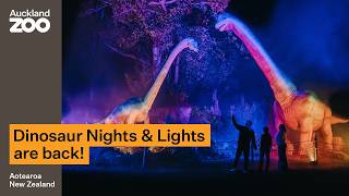 Dinosaur Nights & Lights returns at Auckland Zoo!