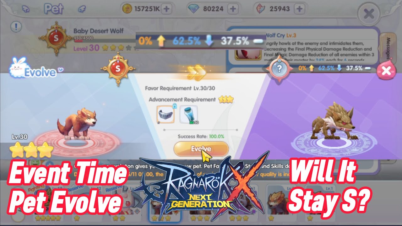 Pet Evolve With 37.5 Rate Event Time│Will It Stay S??│Ragnarok X Next Generation YouTube