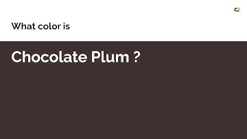 Chocolate Plum color #3f2f31 hex color - Brown color - Cool color 3f2f31