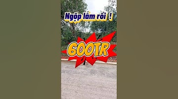 Đất Dầu Tiếng I Bán gấp lô đất Ngộp 7×38 ( Tc 100 ) Sổ hồng riêng #datdautieng