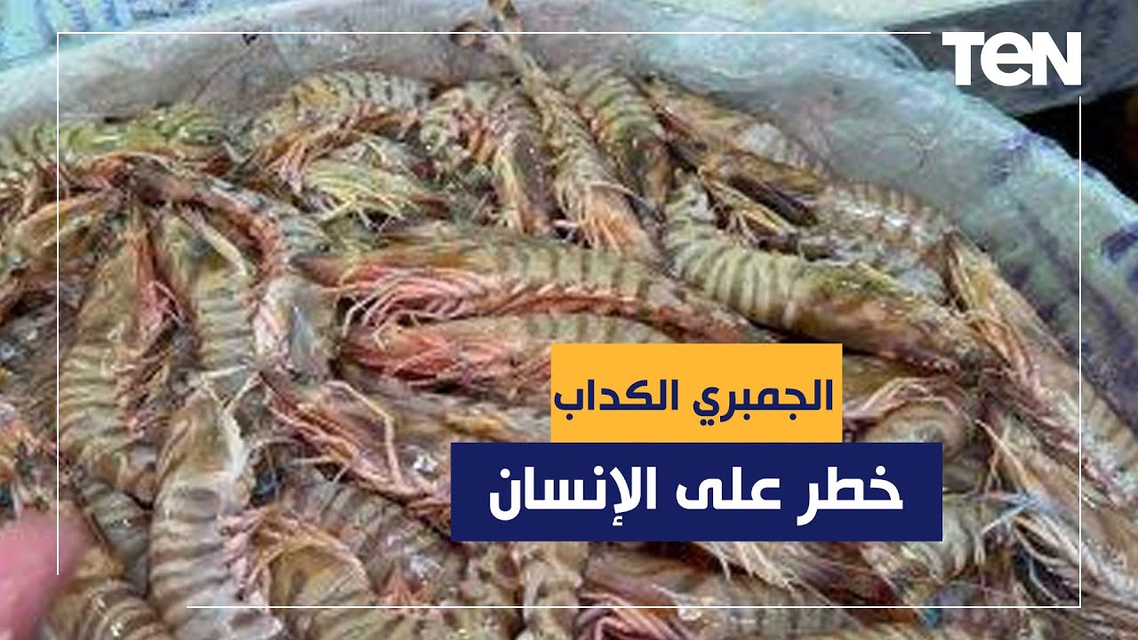 الجمبري الكداب.. هل هناك مخاطر من تناوله؟