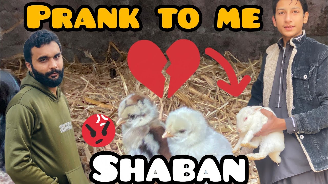 Prank to me subhan 😡😡😡 pet vlogAgar video achi lage to like 👍, comment  aur subscrib 🔔 zaroor karna 