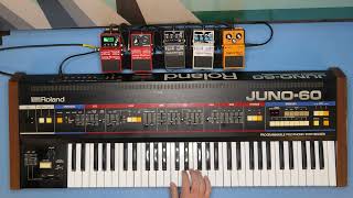 🎹 Lofi Juno Jam 🎛️