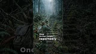 Why Investigators Stopped Documenting This Staircase Found Deep In A Remote Forest