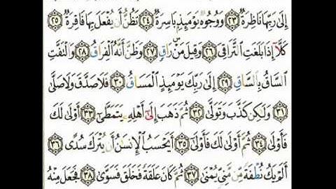 سورة القيامة للقارئ يوسف أبكر - من أحسن التلاوات