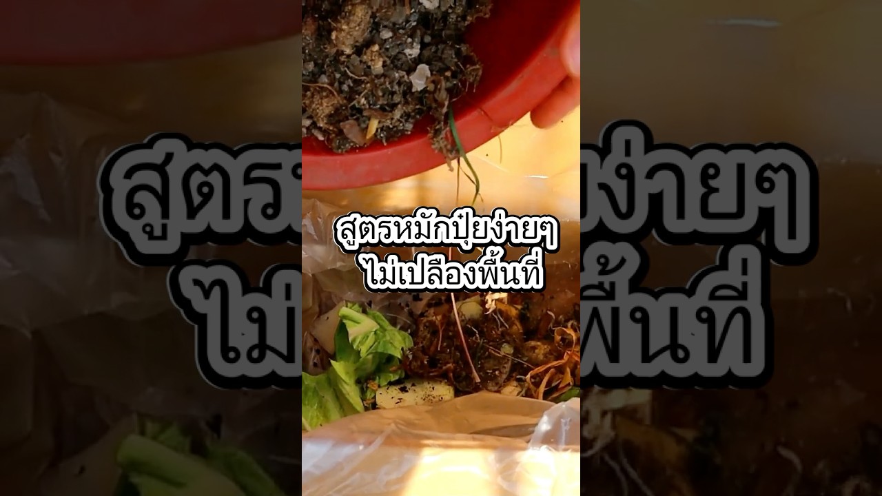 เคล็ดลับดินหมักปุ๋ยฟรี! ทำเองง่ายๆ