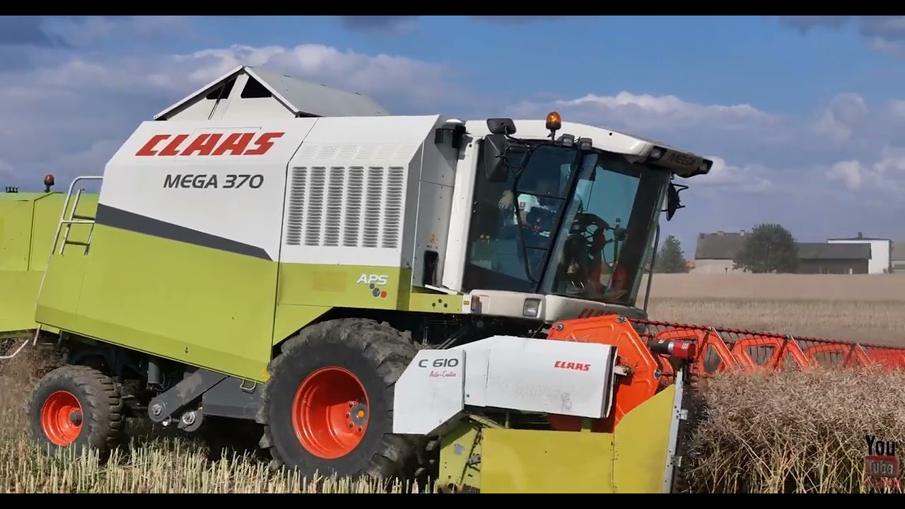 Rzepak 2025 🌾 CLAAS MEGA 370 / JOHN DEERE 6090RC🚜 / ZETOR FORTERRA 125 / METAL-TECH DB 12