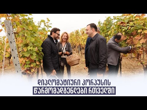 დიპლომატიური კორპუსის წარმომადგენლები რთველში