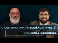 O que seria uma inteligência infeliz? | Jonas Madureira