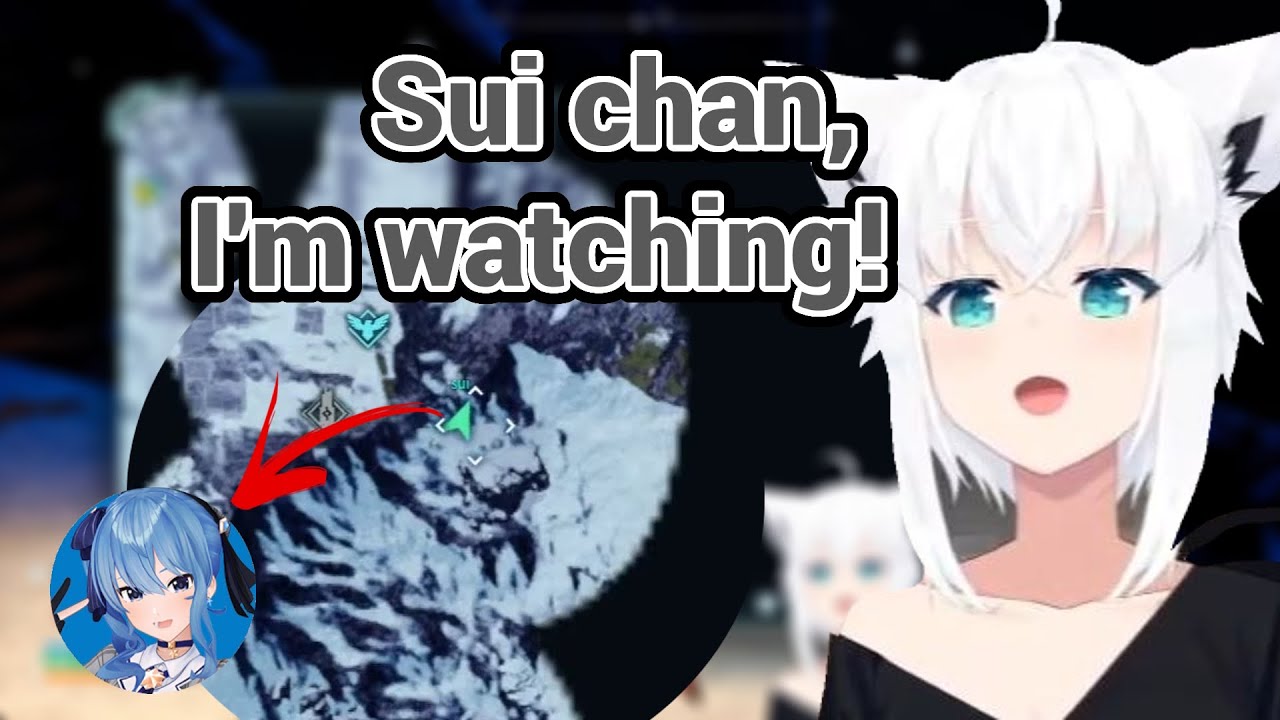 With Fubuki, Watching Map Is Really Fun in Palworld with Suisei