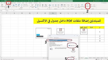 إضافة ملفات pdf الي شيت اكسيل لمستخدمين الواجهة الإنجليزية