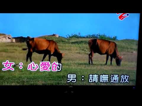 選擇你.KTV~合唱:林瑞美．阿輝🌟🌟