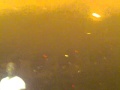       2010  