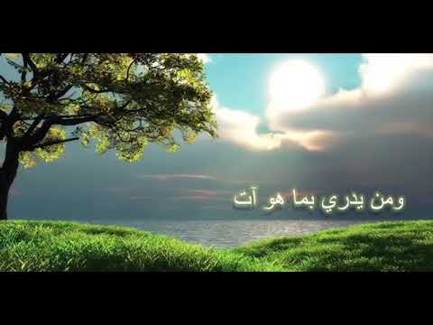 #حمود #الخضر #دندن معي