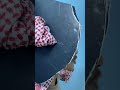 تقليد مشاعل صوب الرياض