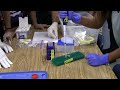 MMHS Biotech ScienceBridge Internship Overview